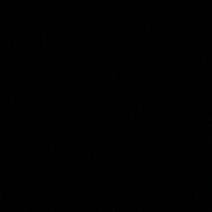 Meet your Posher, Ella